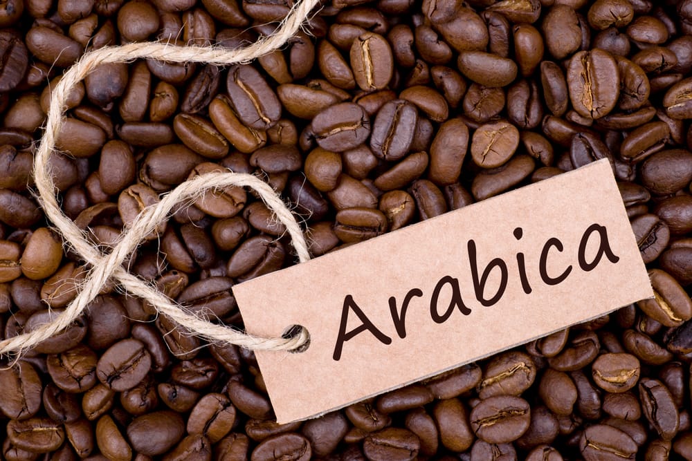 cà phê Arabica